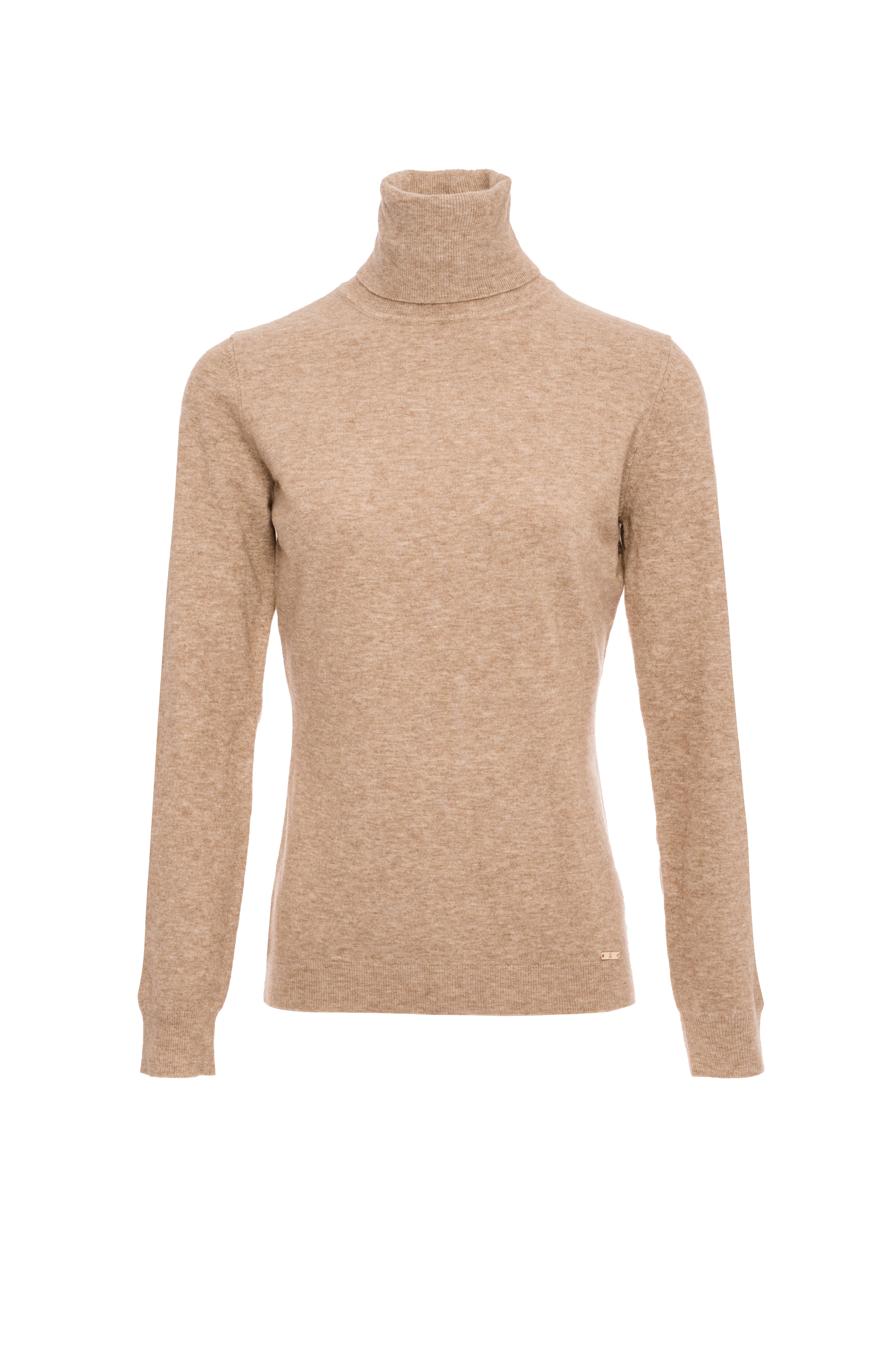 Basic Fine Knit Turtleneck Fracomina FI25WT7001K49201-093_FRONT