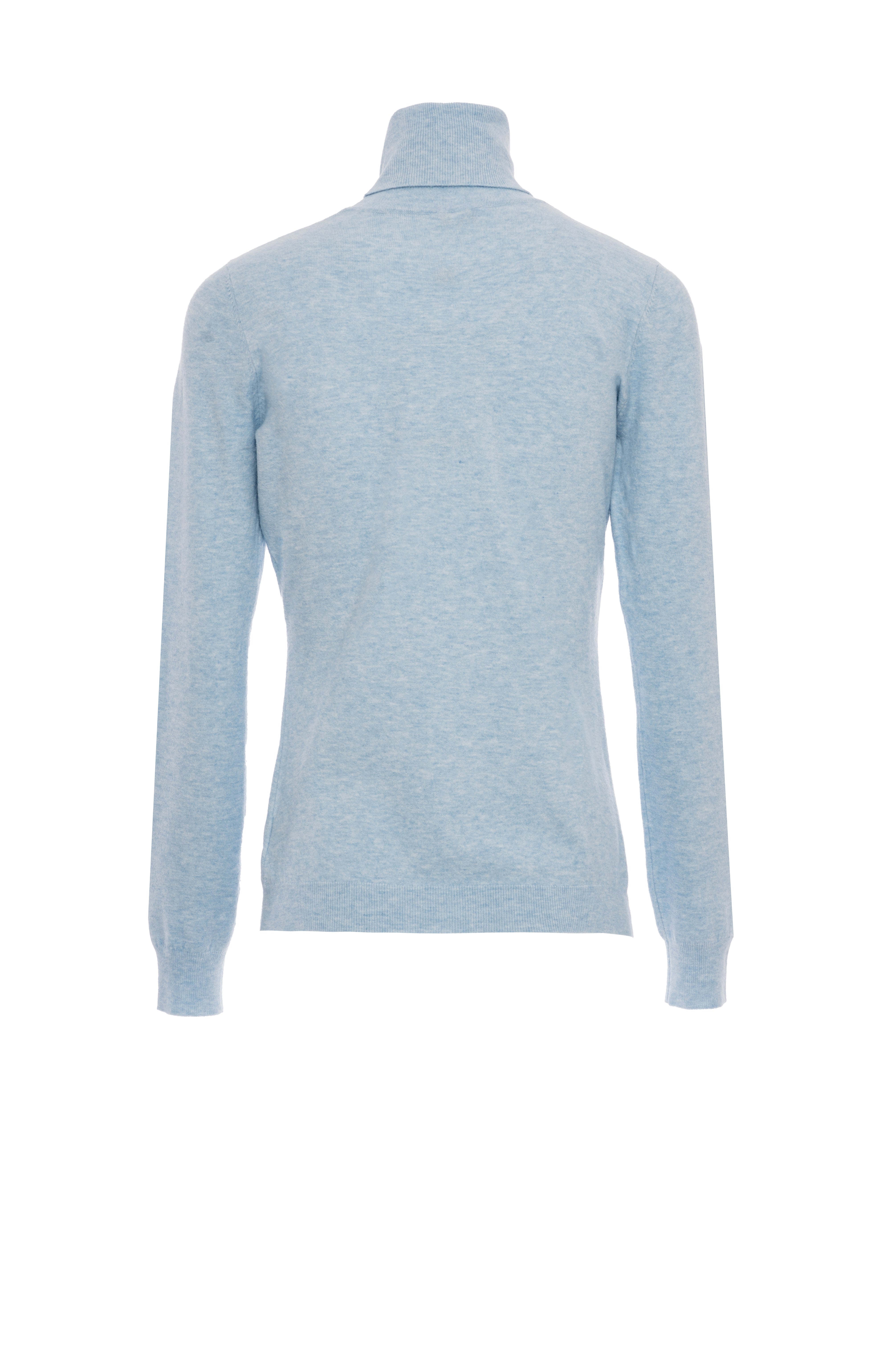 Basic Fine Knit Turtleneck Fracomina FI25WT7001K49201-252_BACK