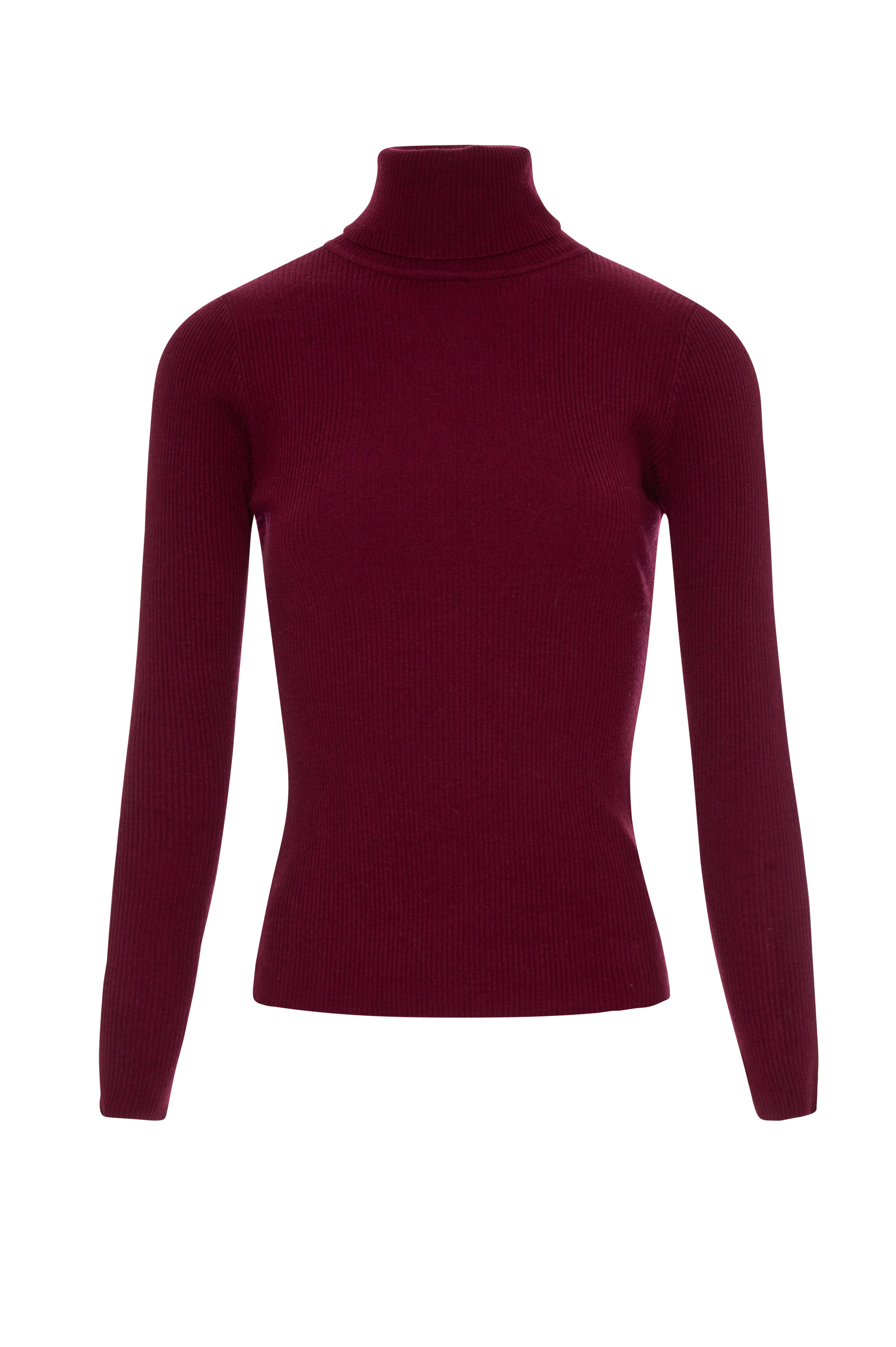 Knitwear slim fit with high neck Fracomina FP26WT7013K49701-KF4-1