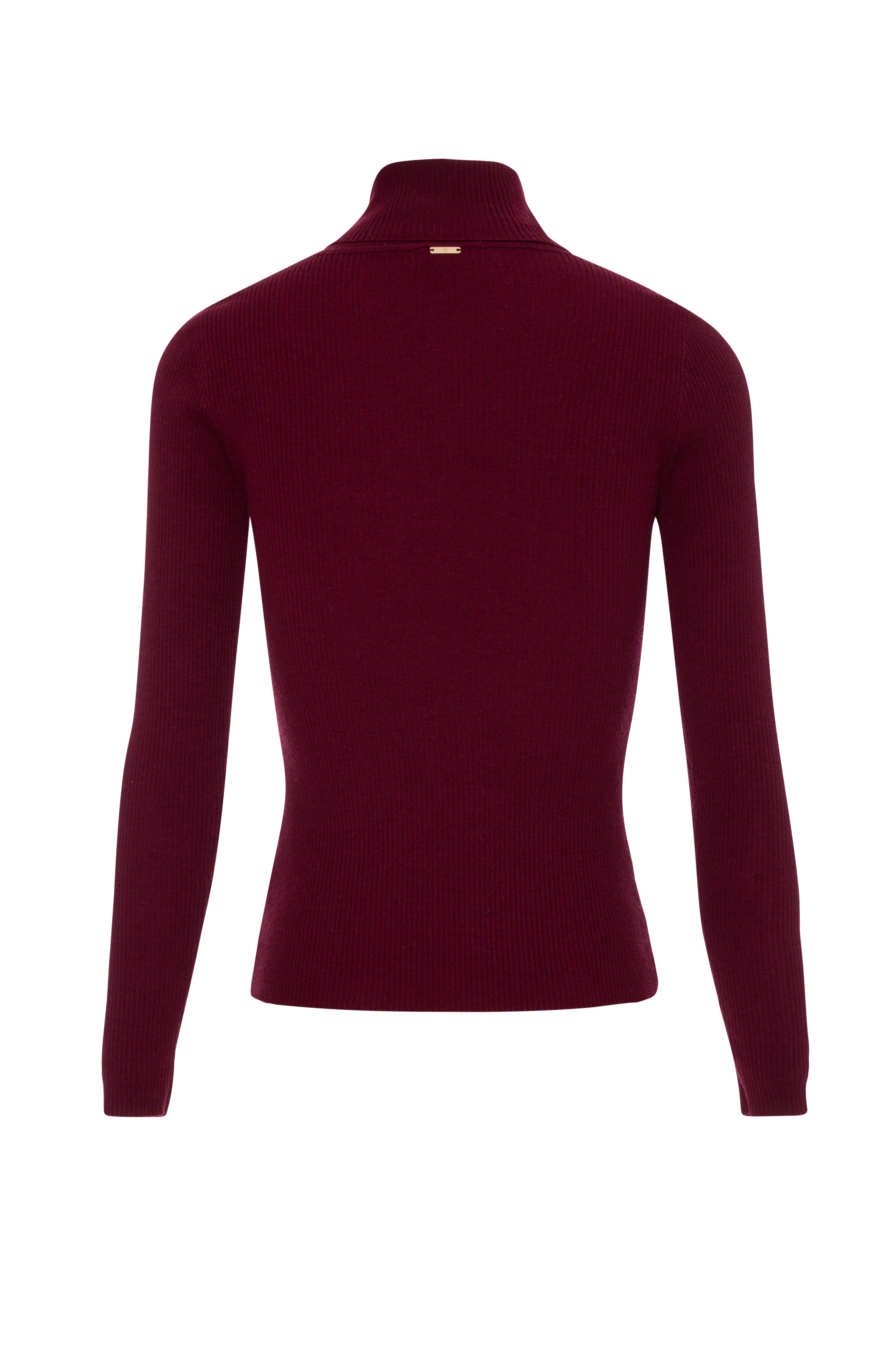Knitwear slim fit with high neck Fracomina FP26WT7013K49701-KF4-2