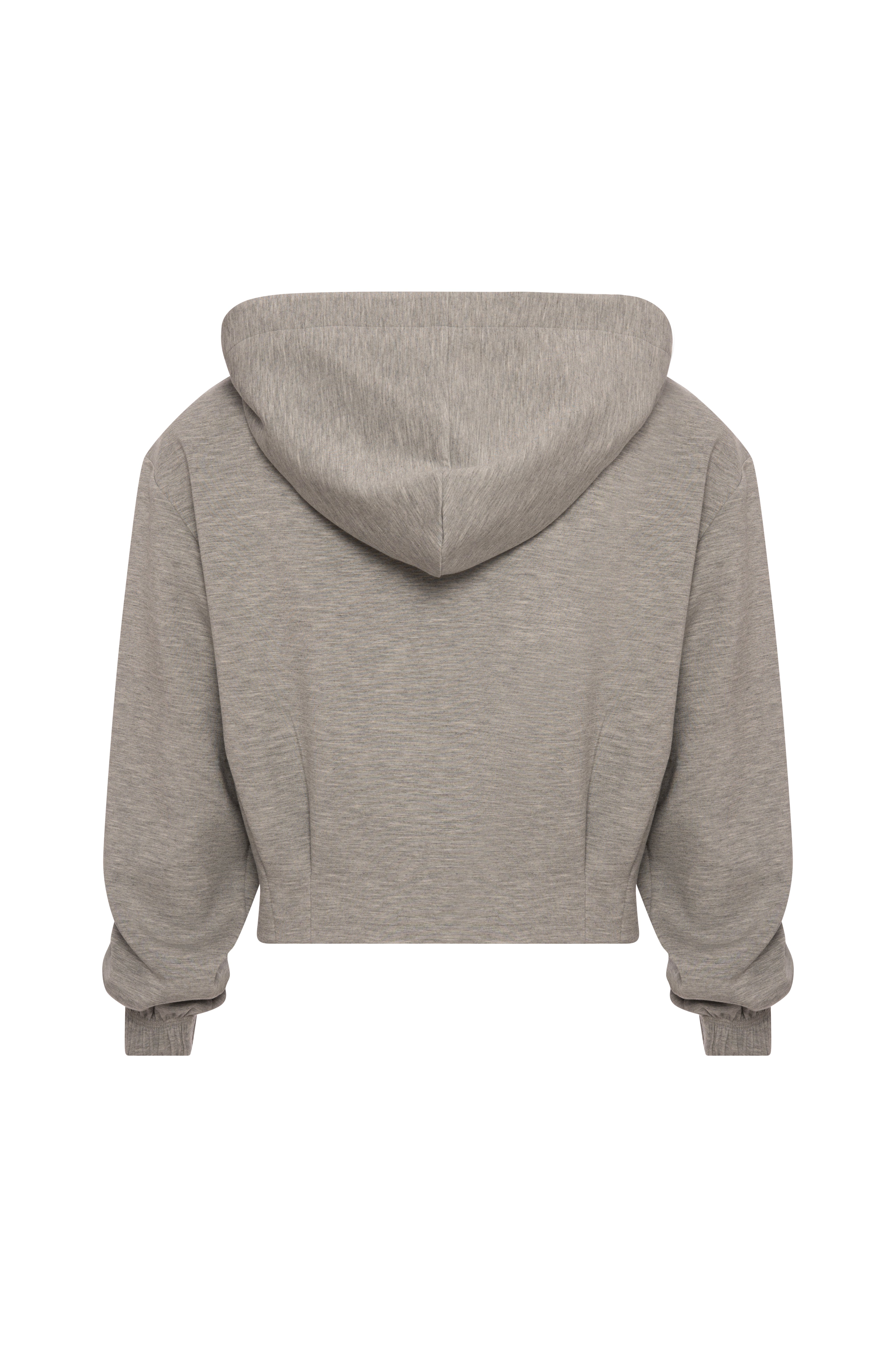 Sweater regular fit with hood Fracomina FP26WT9006F44201-KF5-2