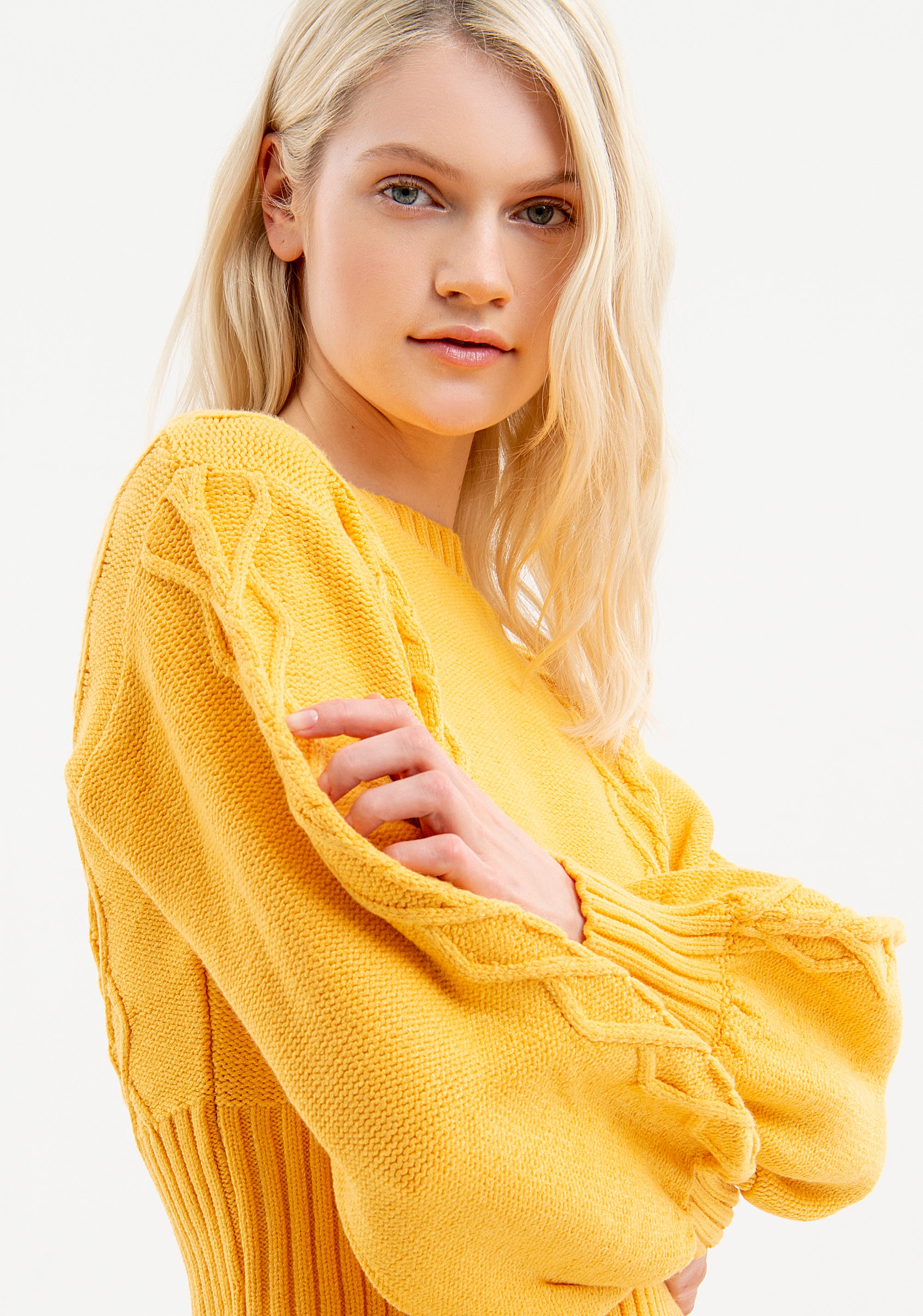 Knitwear cropped with plaits Fracomina FR23WT7021K50201-303-2