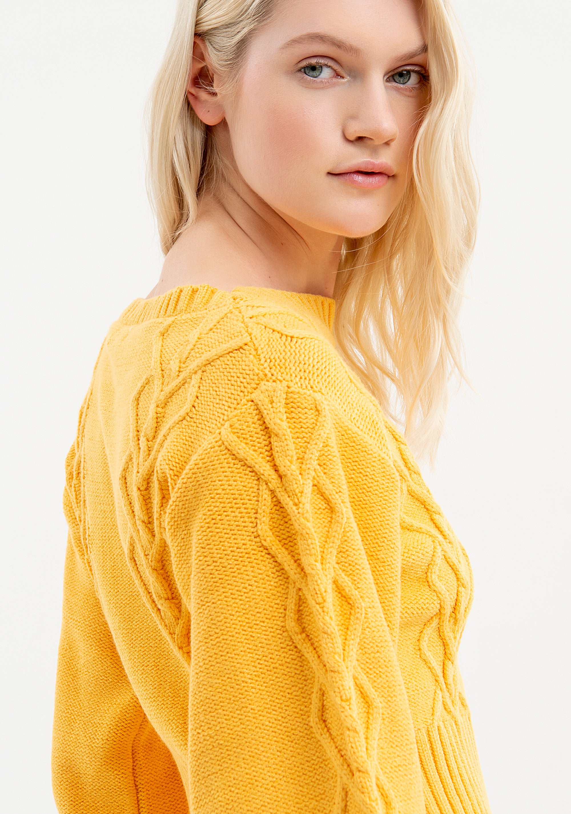 Knitwear cropped with plaits Fracomina FR23WT7021K50201-303-4