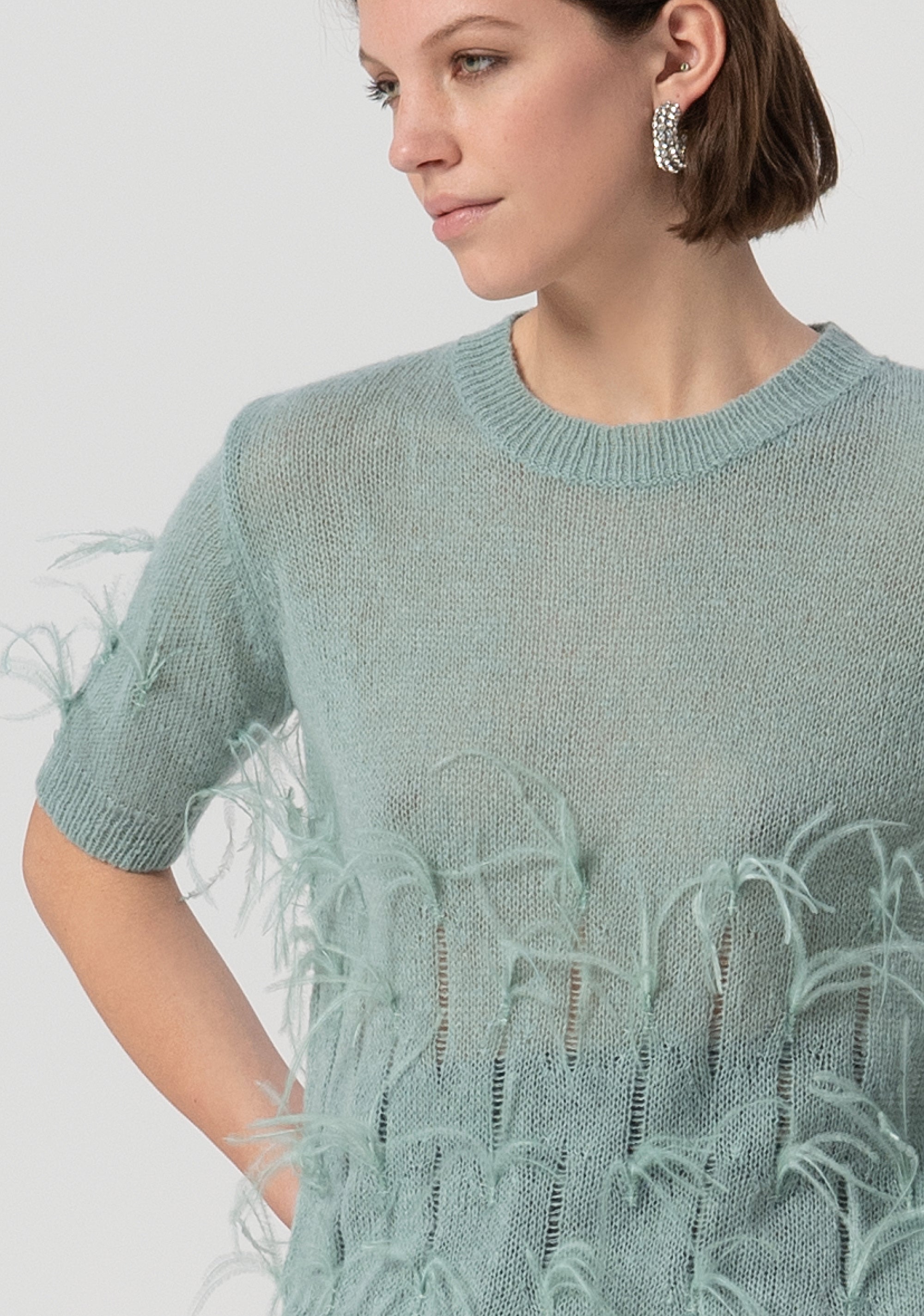 Knitwear regular fit with feathers applied Fracomina FS25WT7010K50501-806-2