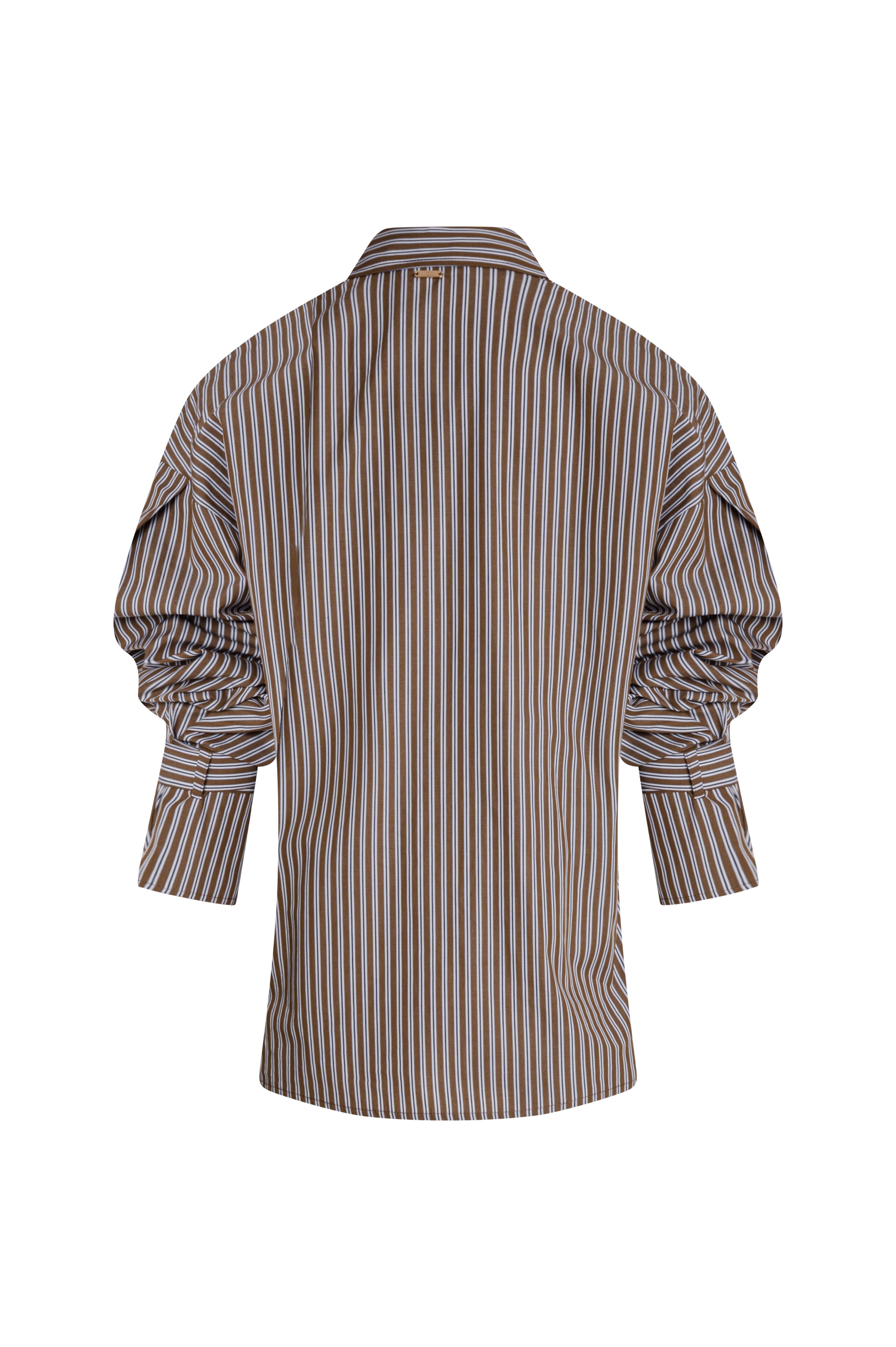 Shirt regular fit made made in cotton with stripes Fracomina FZ26WT6002W402N8-KM9-2
