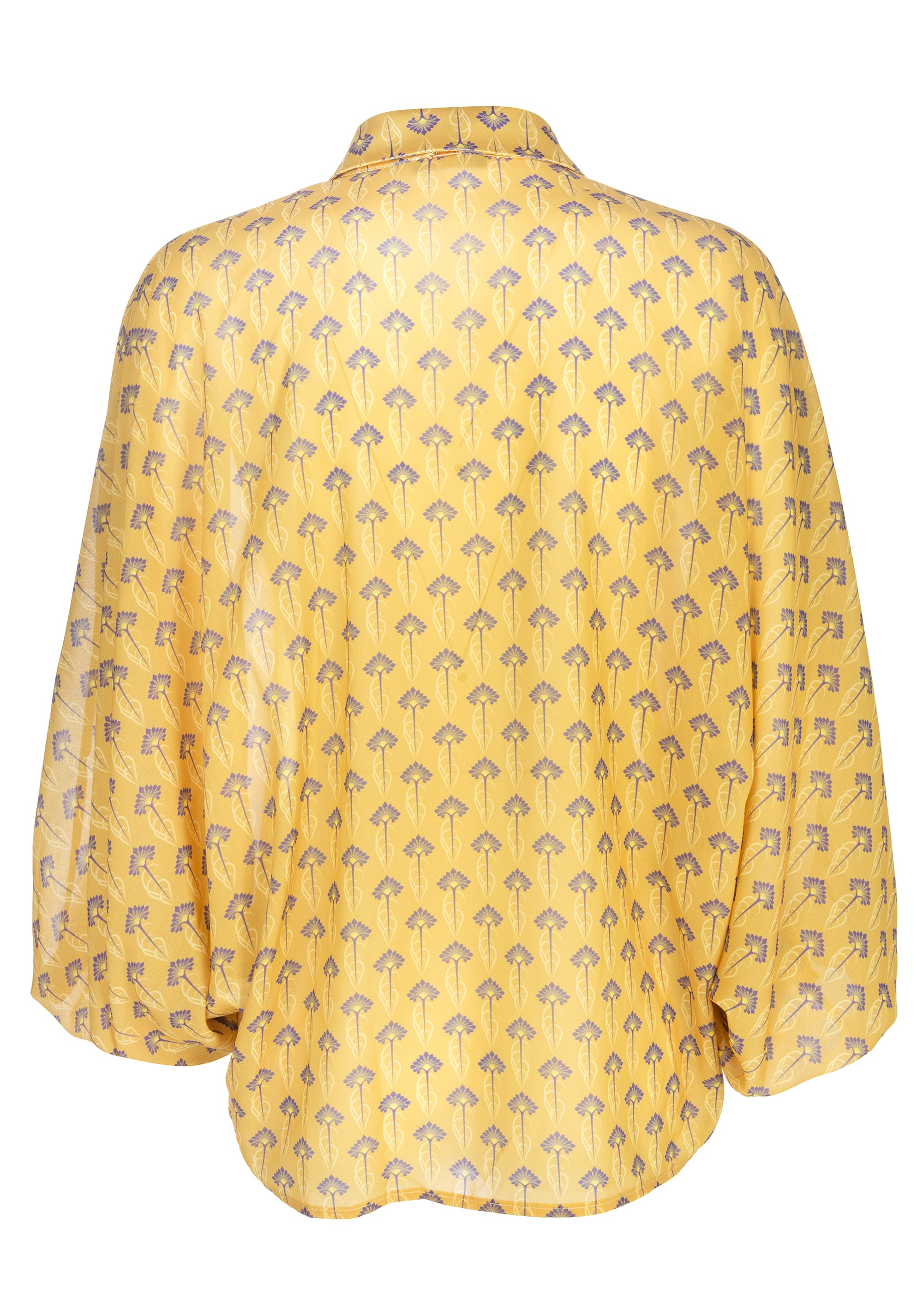 Shirt over fit made in georgette Fracomina FS22WT6002W412N4_2