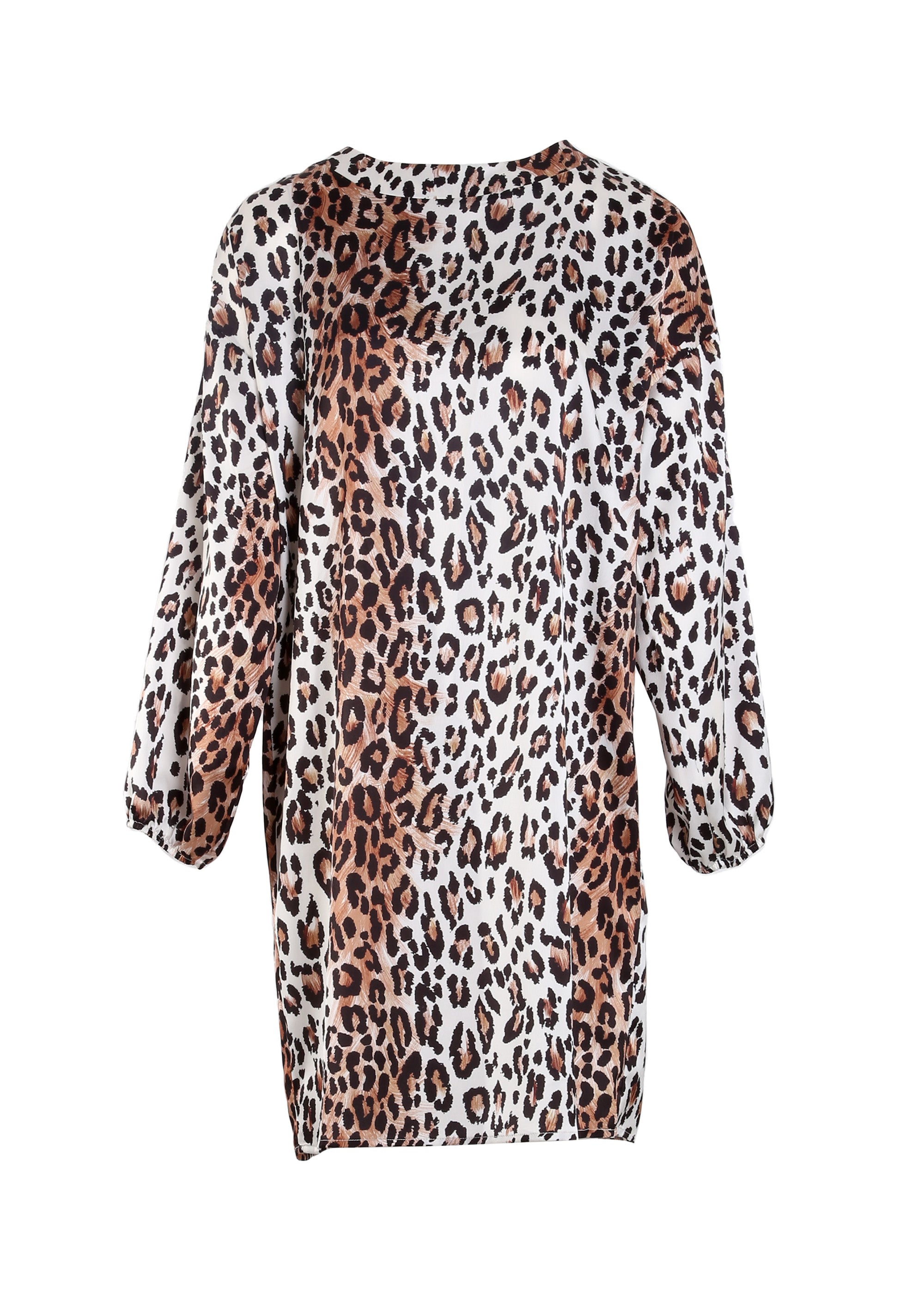 Long-sleeved spotted print dress Fracomina FI24WD2001W470L7-C80