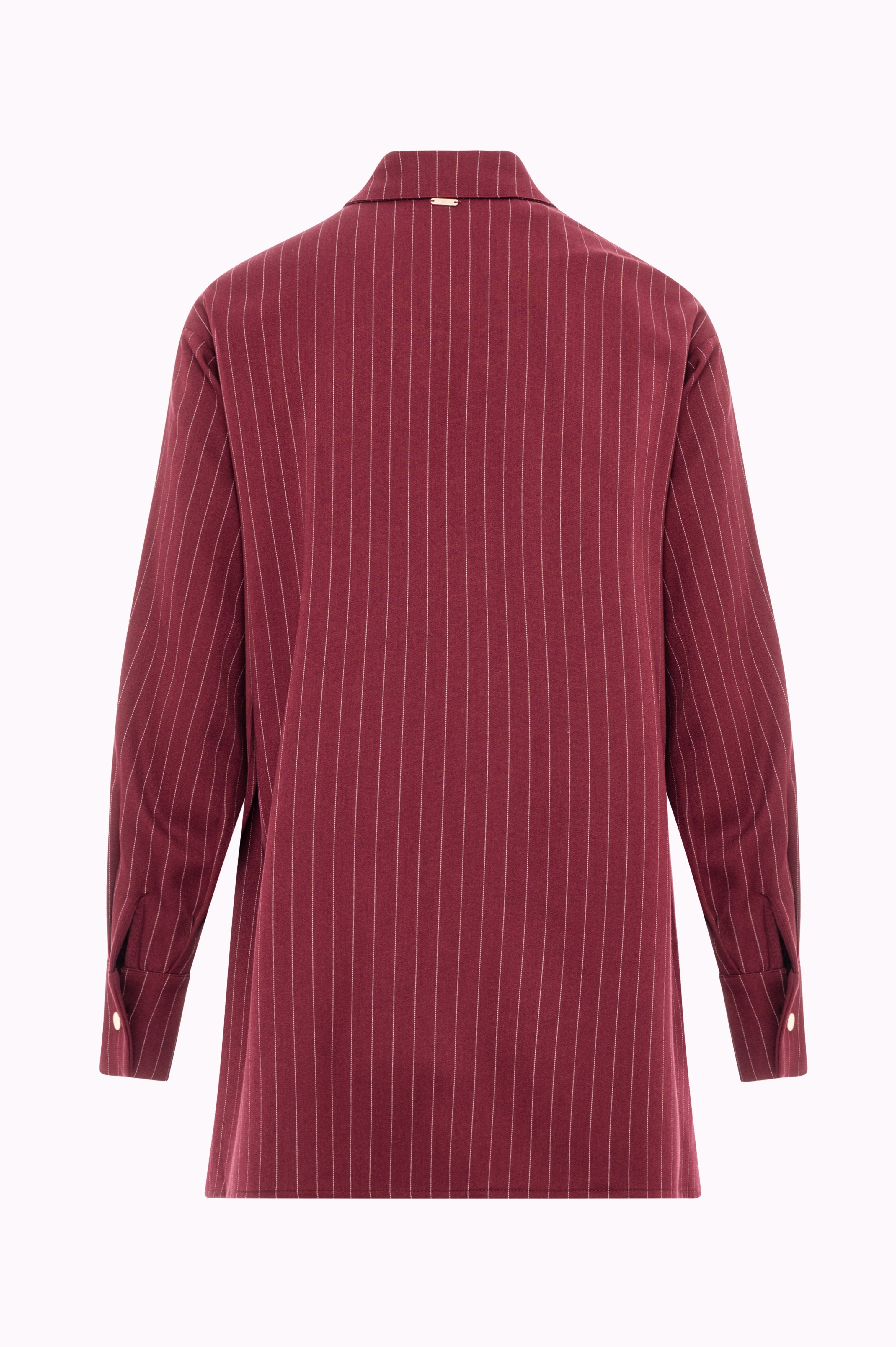 Oversized Long Pinstripe Shirt with Gold Buttons Fracomina FI25WT6002W491D4-087BACK