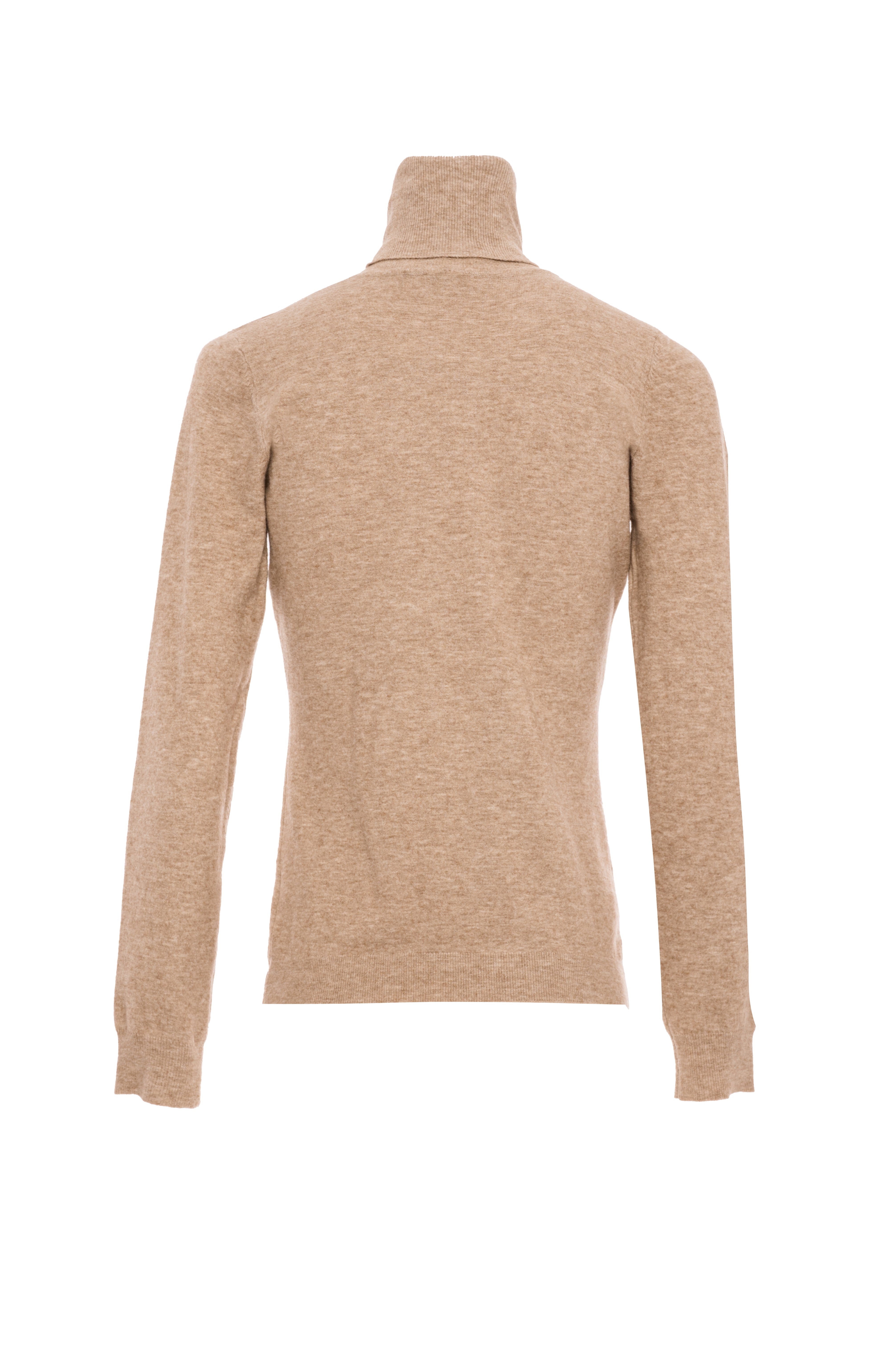 Basic Fine Knit Turtleneck Fracomina FI25WT7001K49201-093_BACK