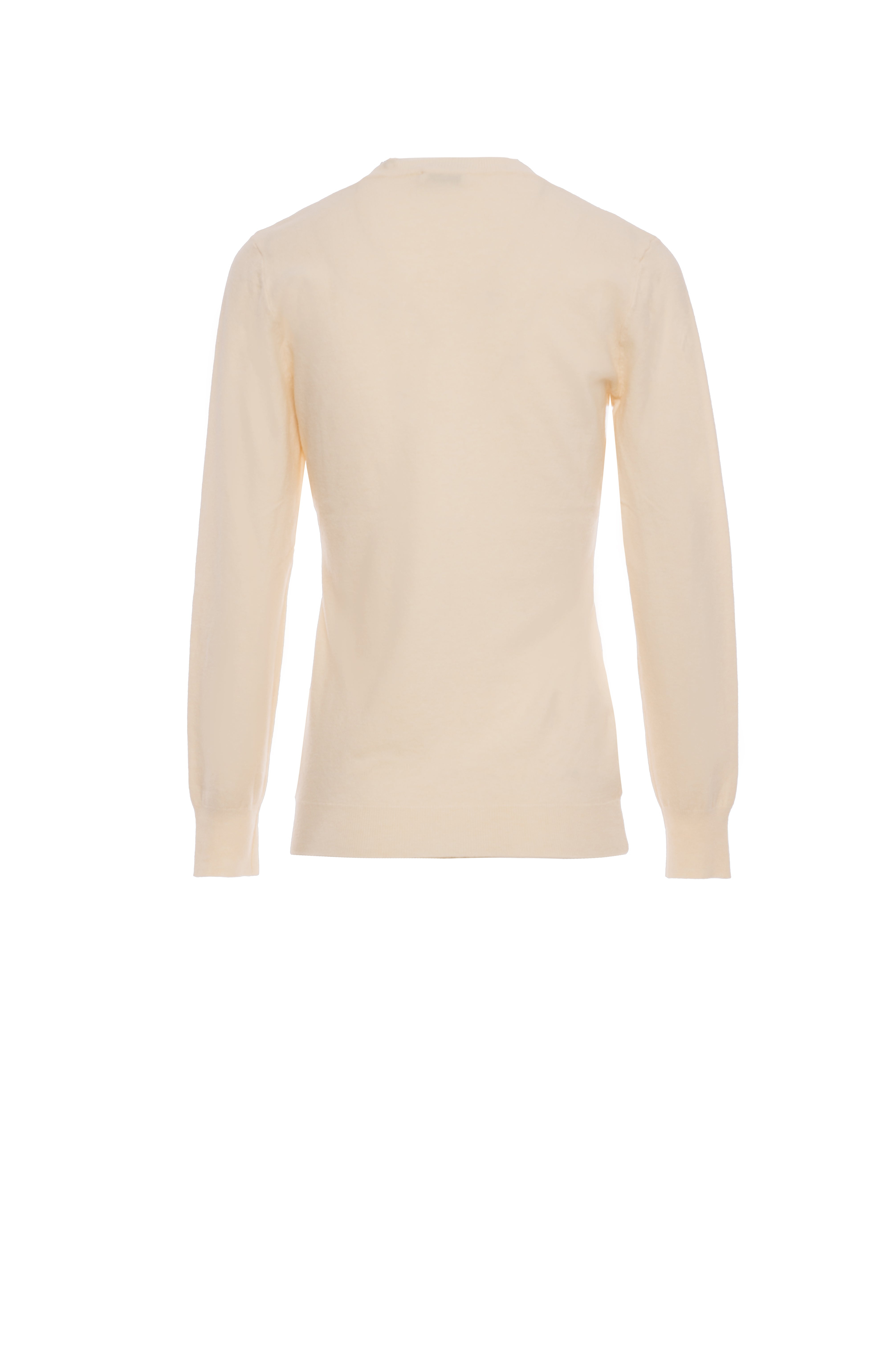 Fine Knit V-Neck Sweater Fracomina FI25WT7002K49201-108_BACK