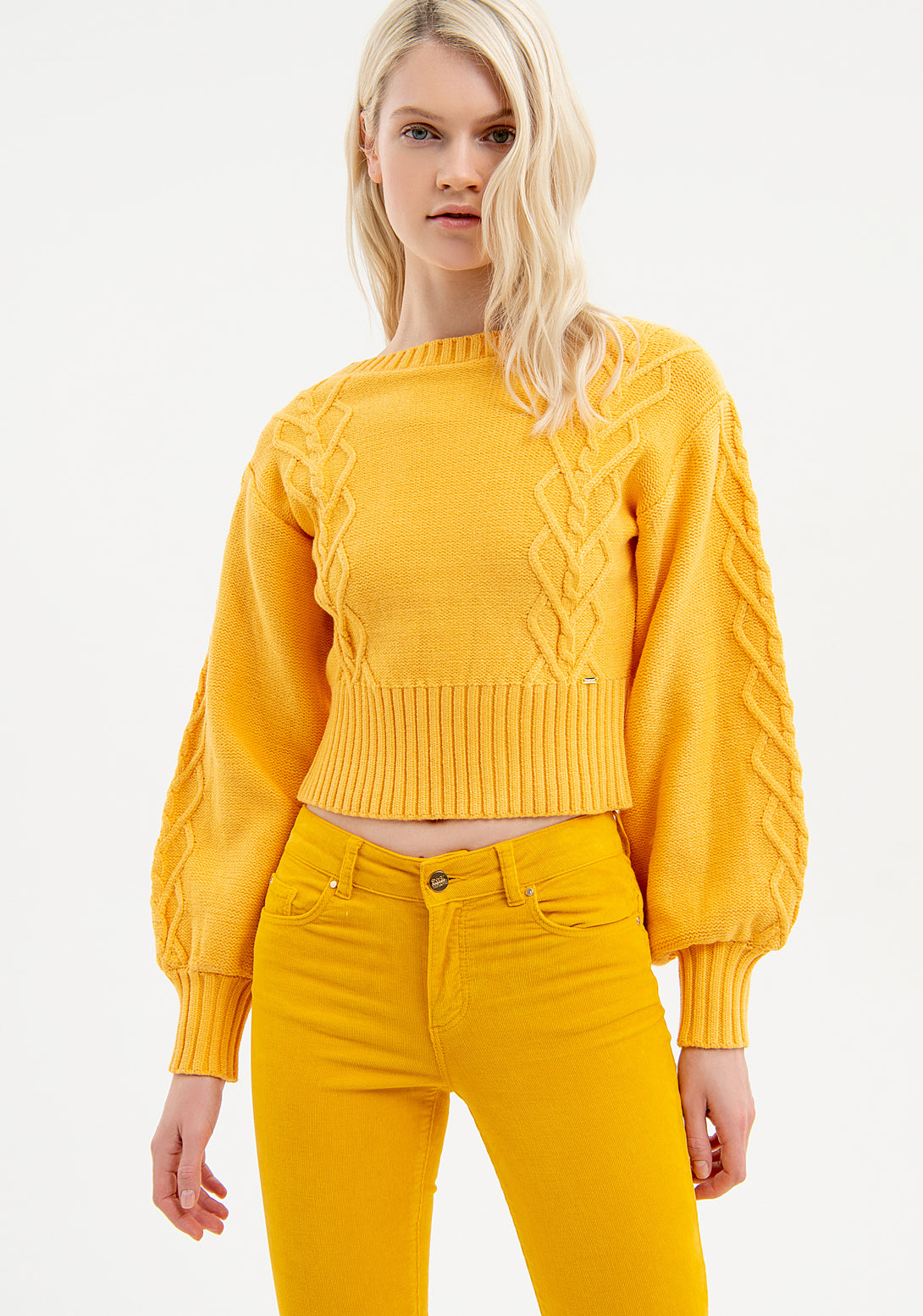 Knitwear cropped with plaits Fracomina FR23WT7021K50201-303-1