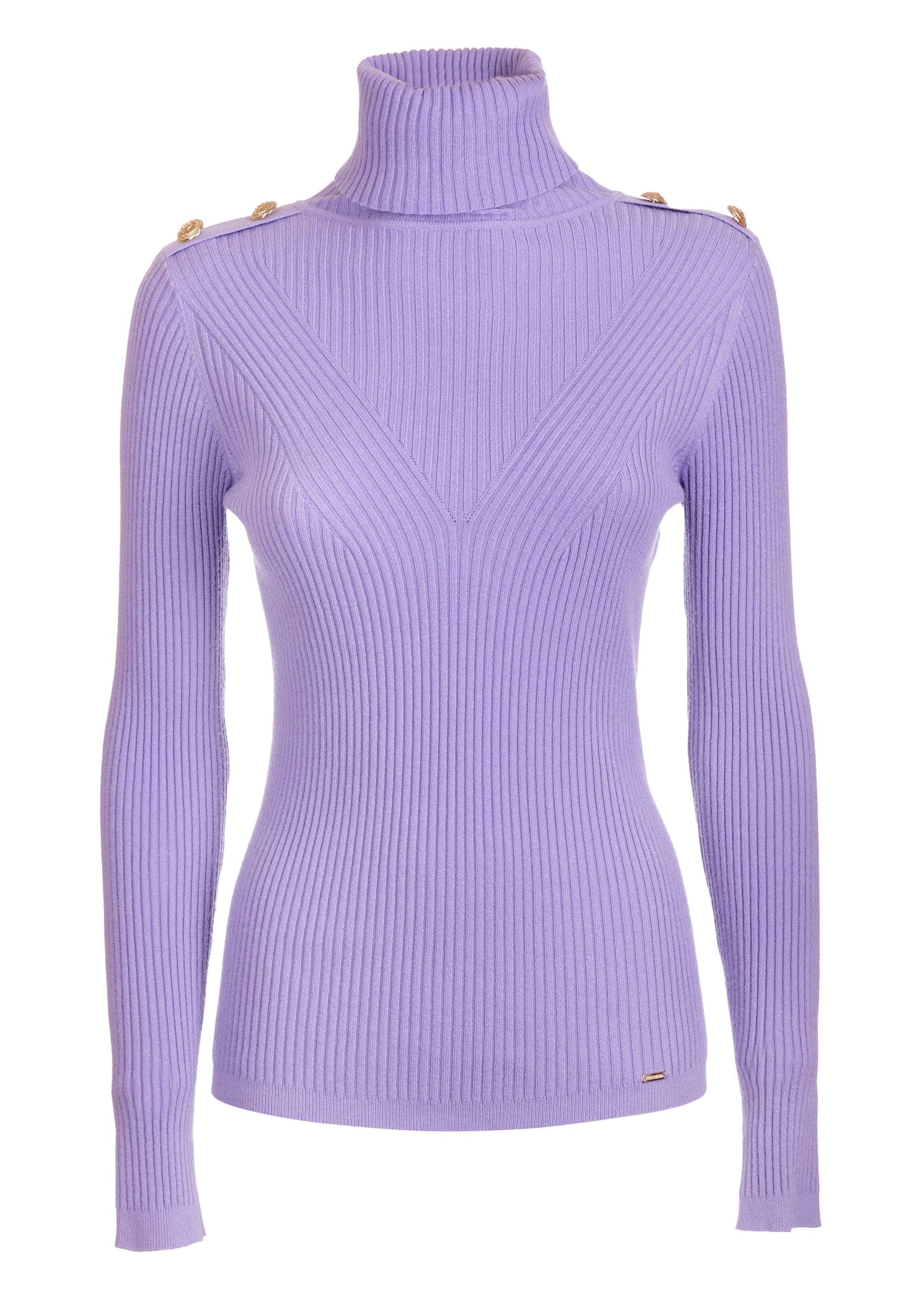 Knitwear slim fit with ribs with high neck Fracomina FS23WT7025K50401-185-1