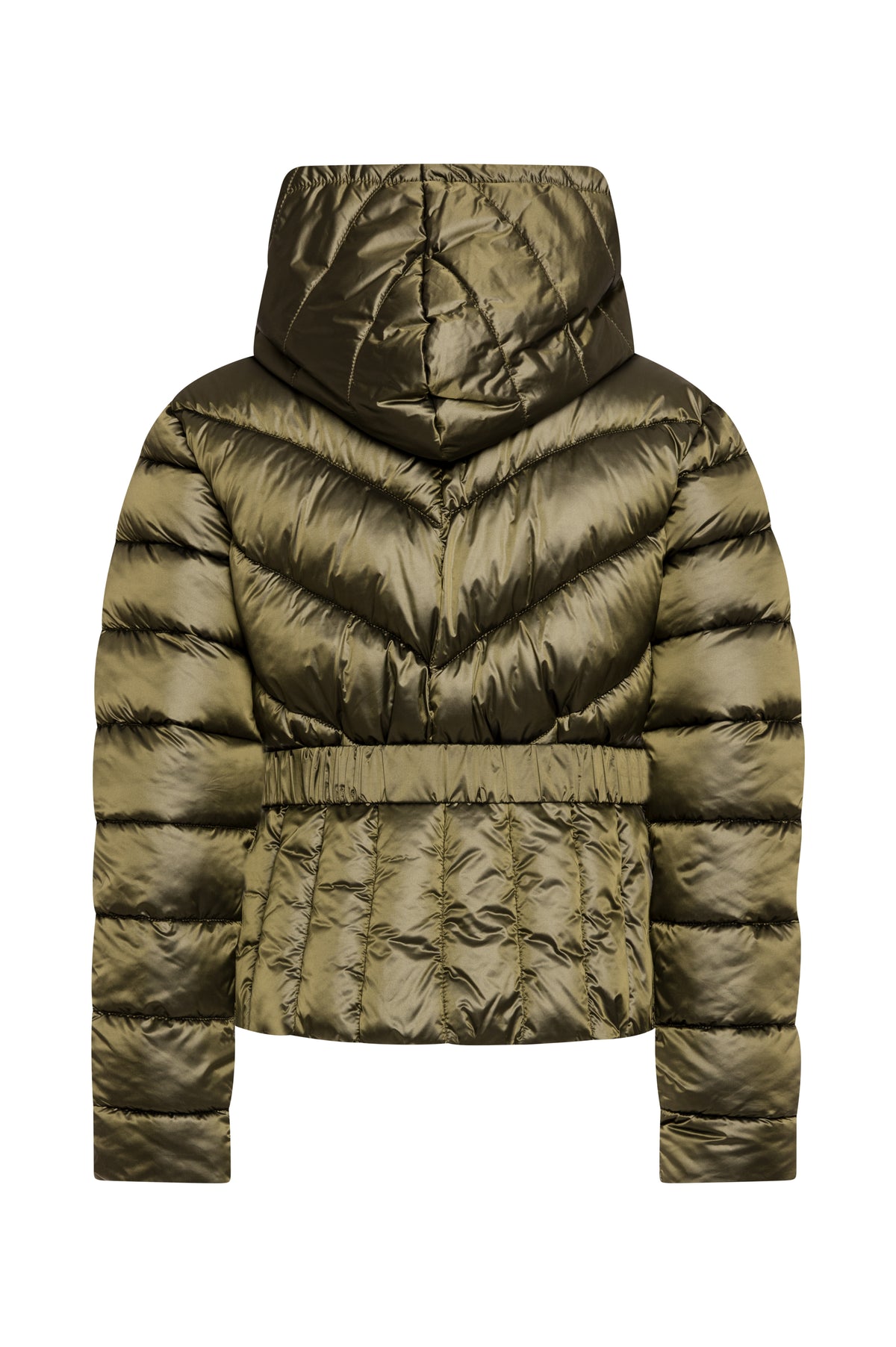 Padded jacket regular fit made in nylon Fracomina FS26WC3002O42301-K66-2