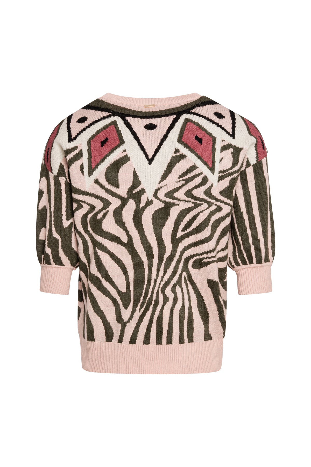 Knitwear regular fit with animalier jacquard effect Fracomina FS26WT7003K504F8-K37-2
