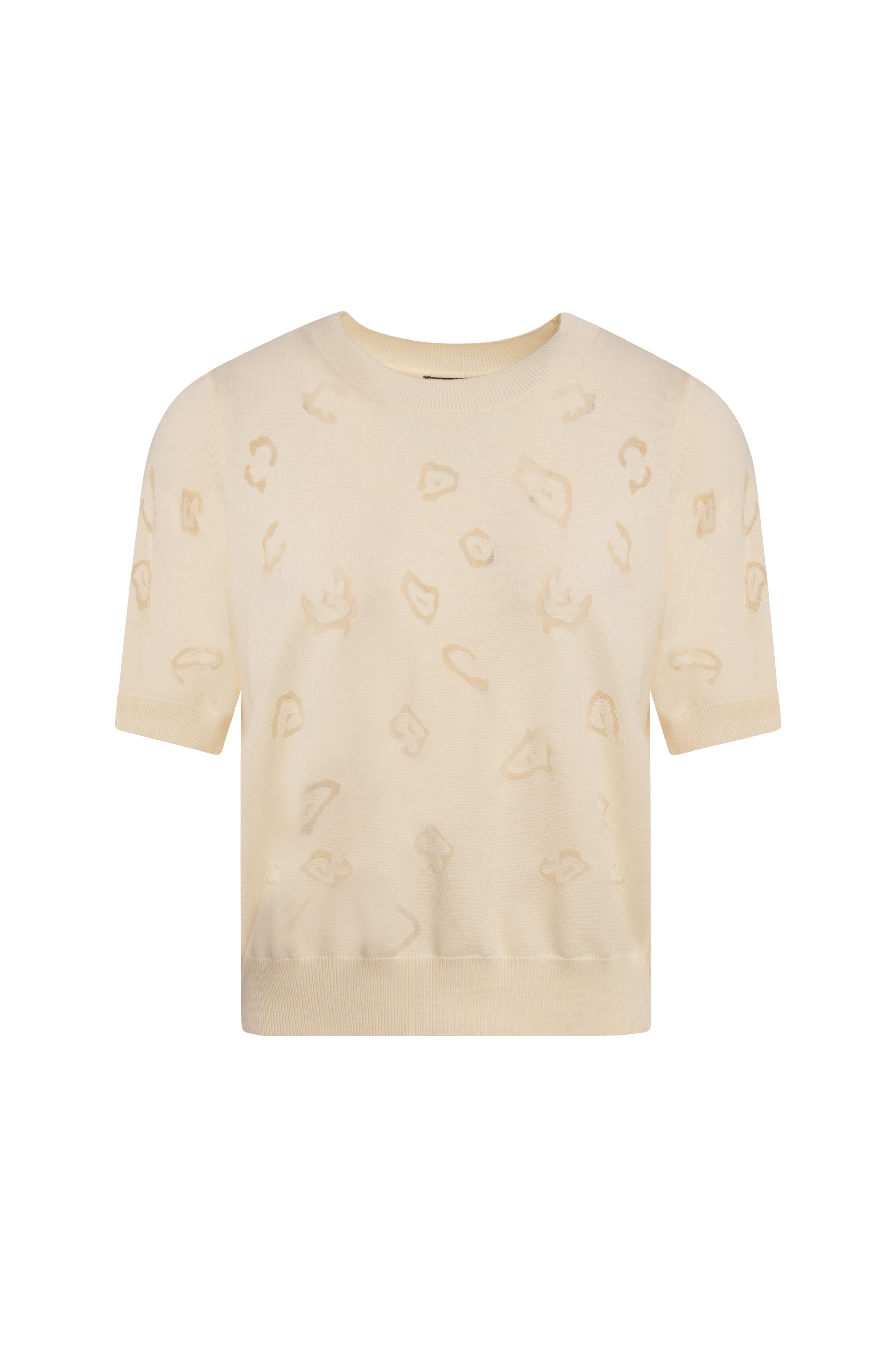 Knitwear regular fit with animalier pattern Fracomina FS26WT7006K414F8-108-1