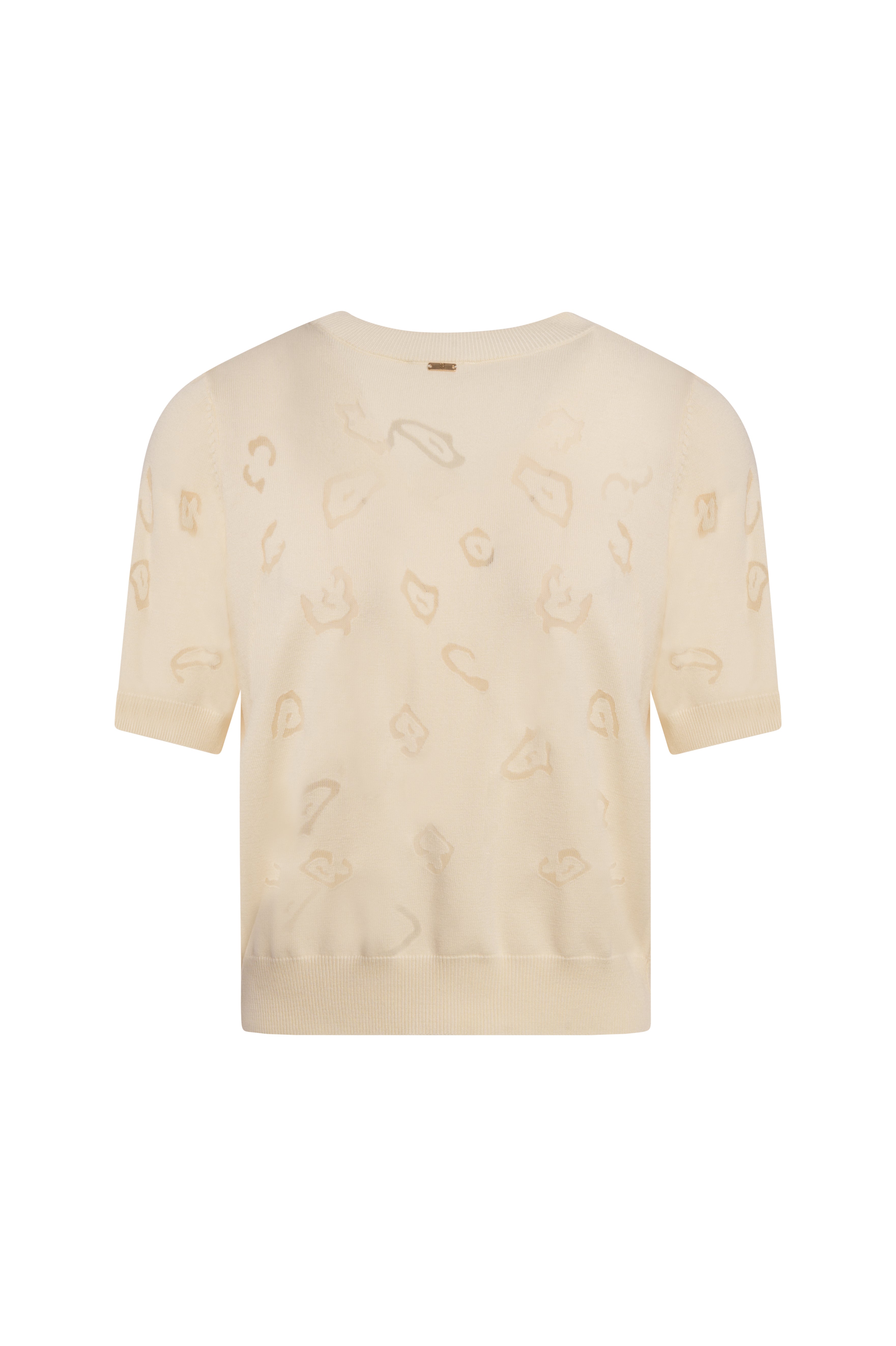Knitwear regular fit with animalier pattern Fracomina FS26WT7006K414F8-108-2