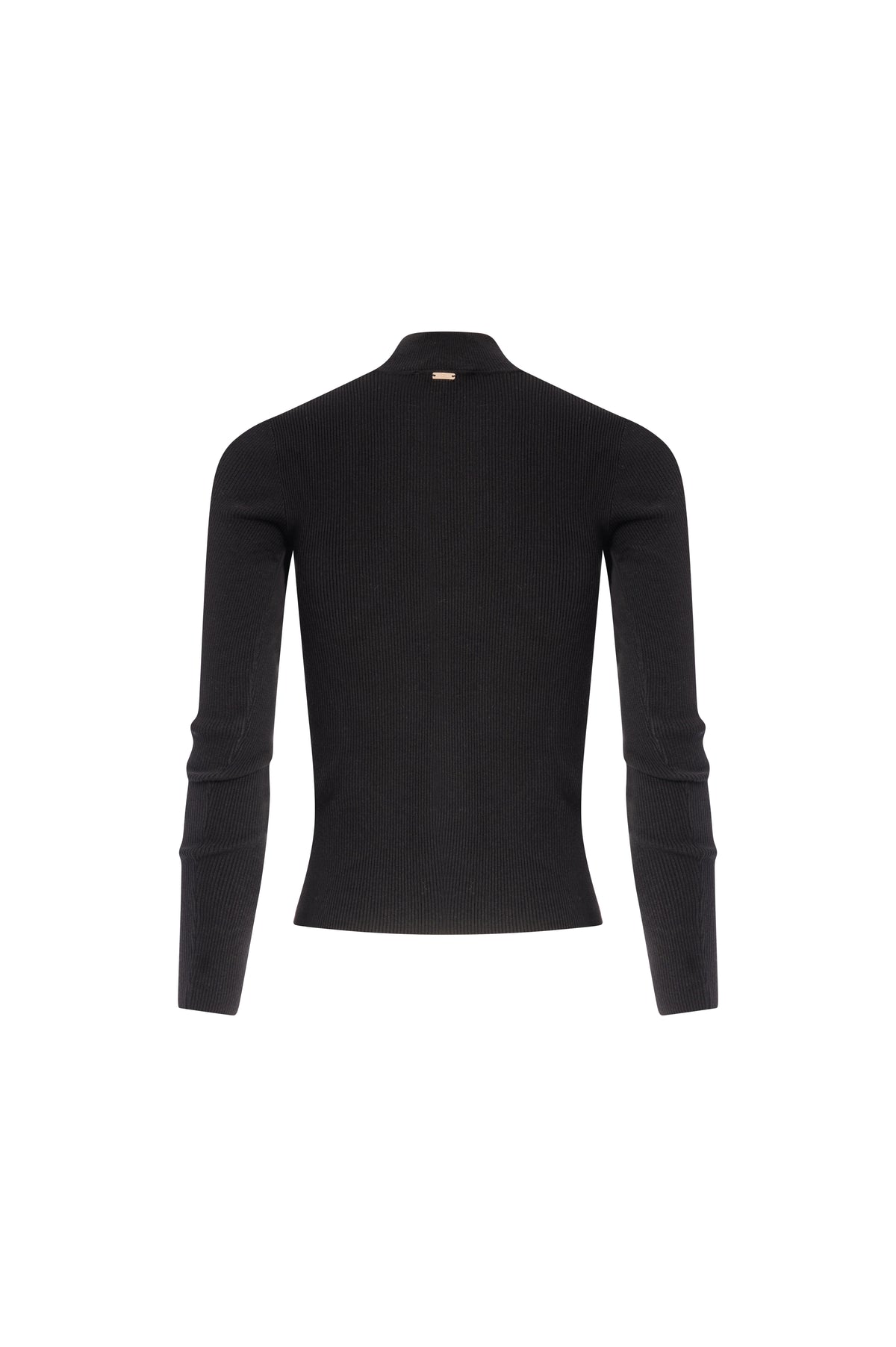Knitwear slim fit with high neck Fracomina FS26WT7026K56501-K01-2