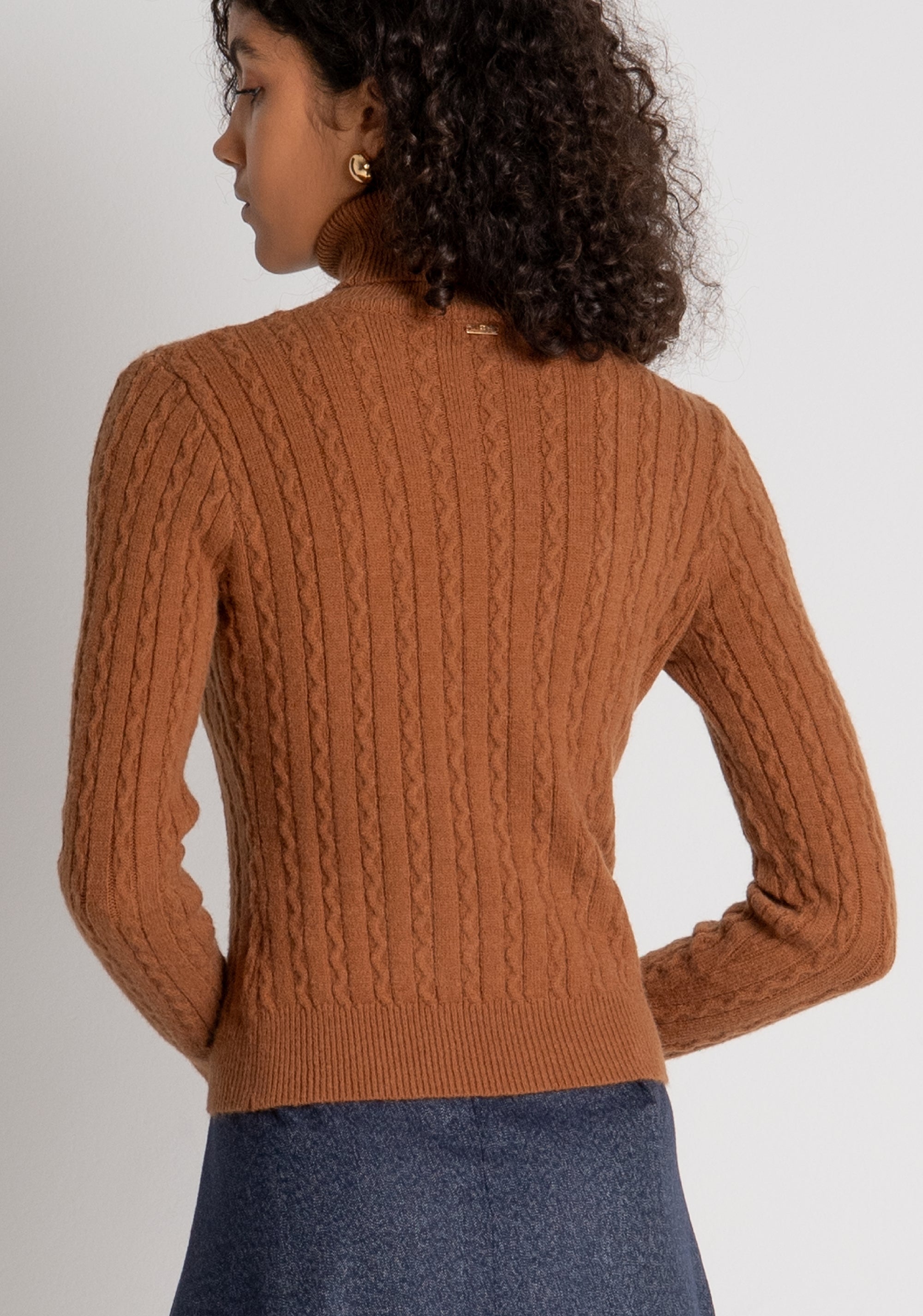 Knitwear slim fit with cable stitch Fracomina FY26WT7062K45801-A25-4