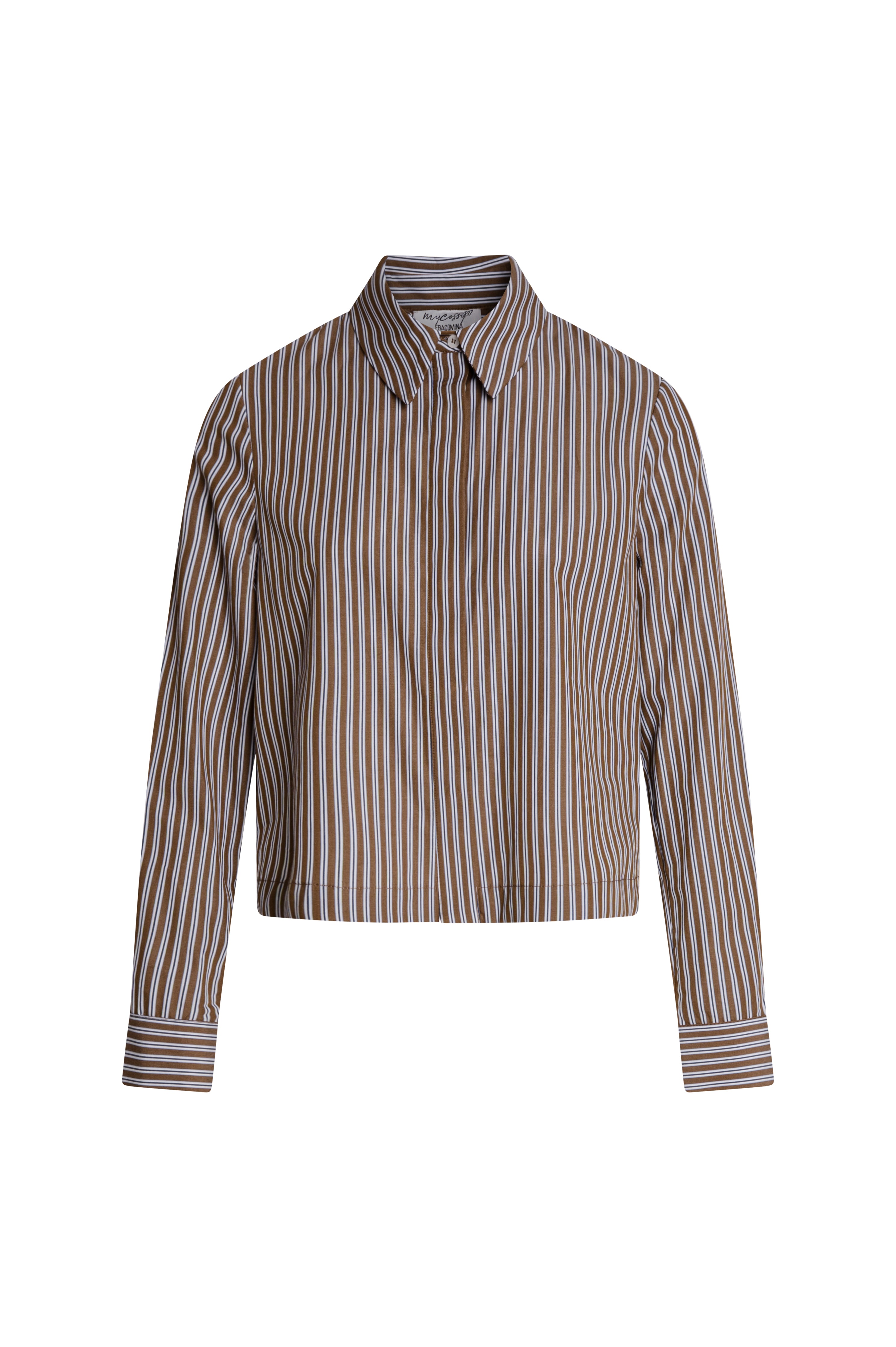 Shirt regular fit made made in cotton with stripes Fracomina FZ26WT6001W403N8-KM9-1