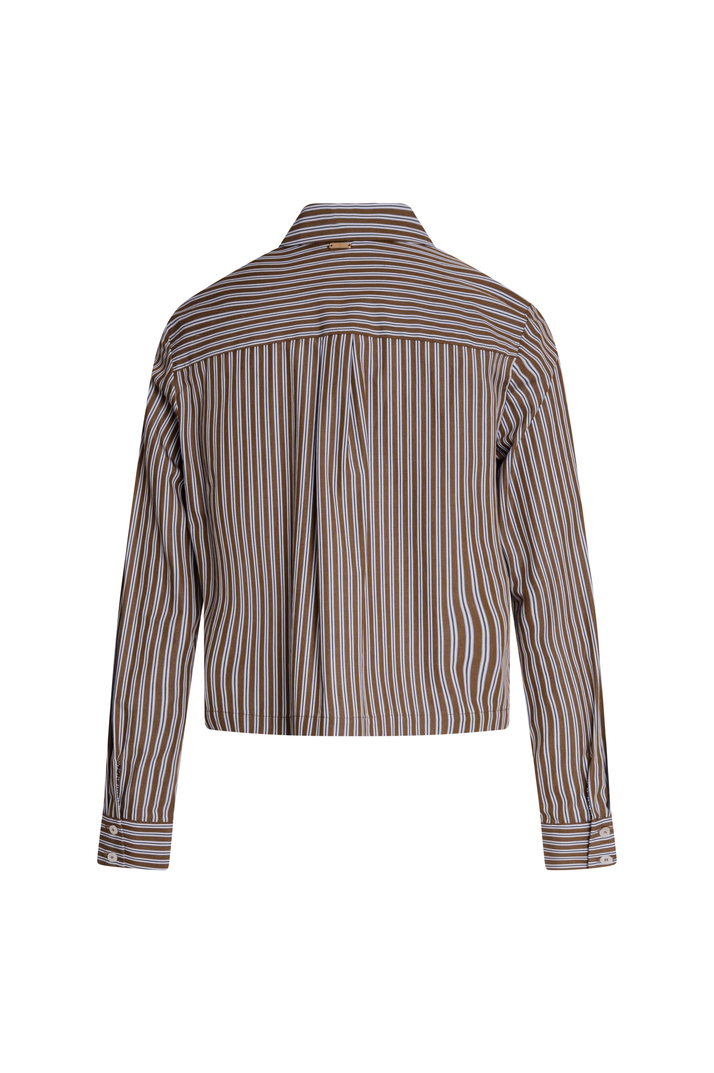 Shirt regular fit made made in cotton with stripes Fracomina FZ26WT6001W403N8-KM9-2