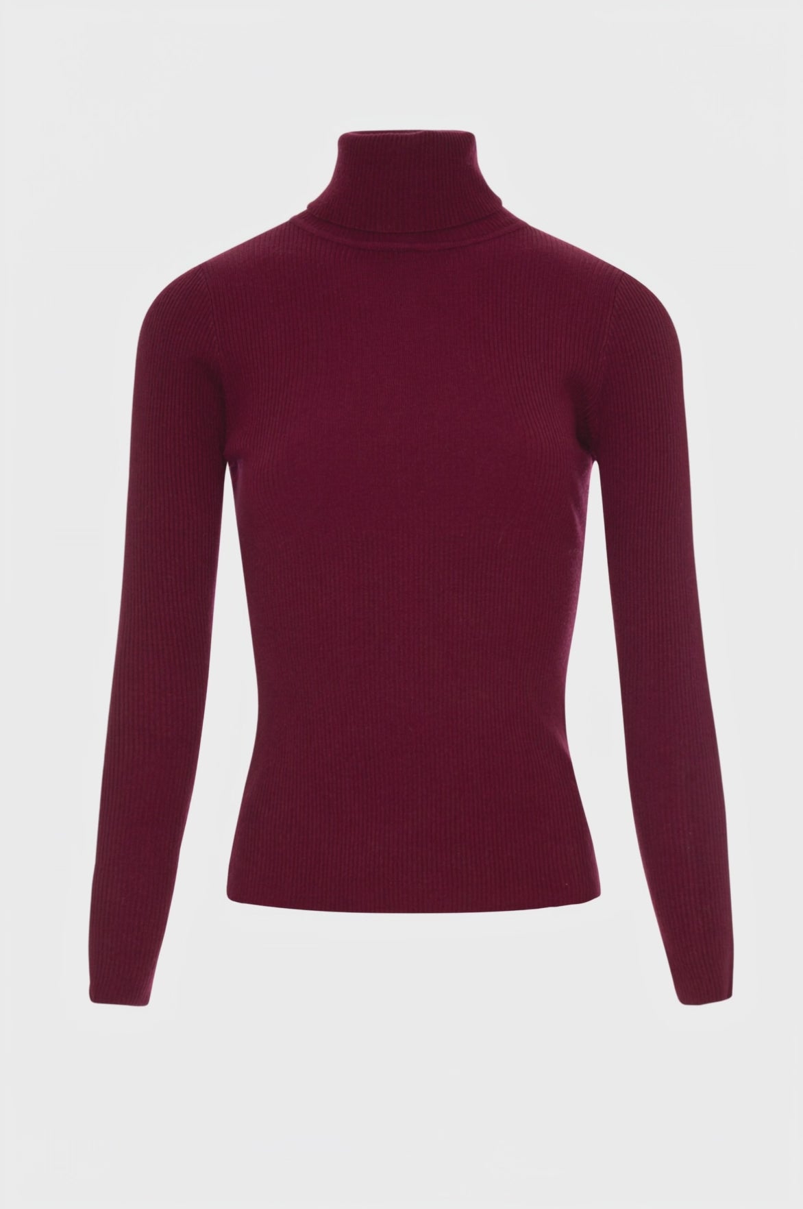 Knitwear slim fit with high neck