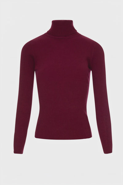 Knitwear slim fit with high neck