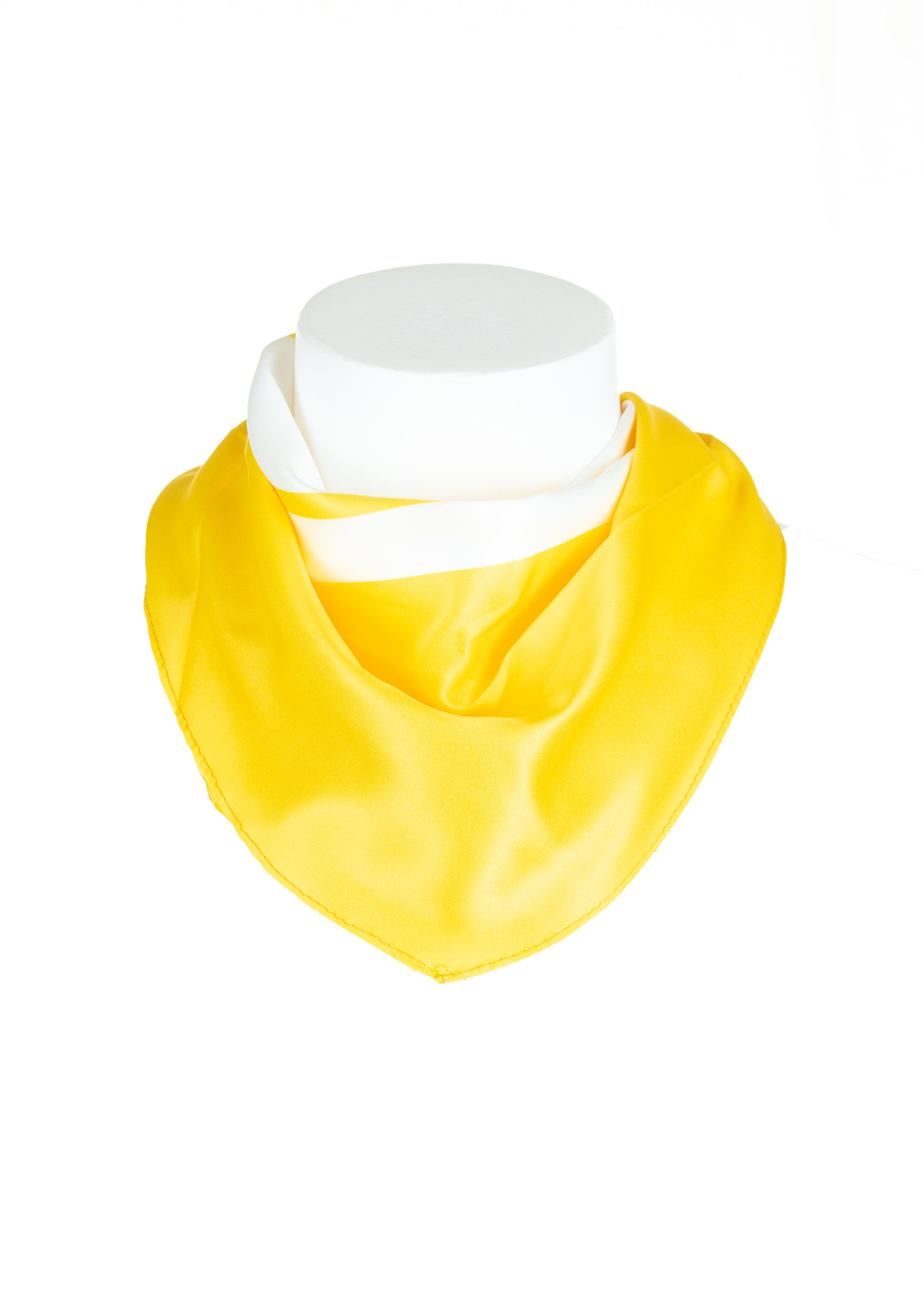 Foulard made in satin Fracomina FA23SA3004W411R8-300-1