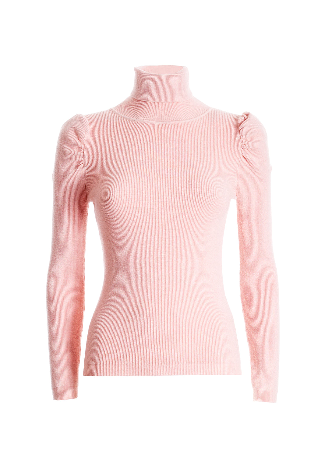 Knitwear slim fit with ribs and high neck