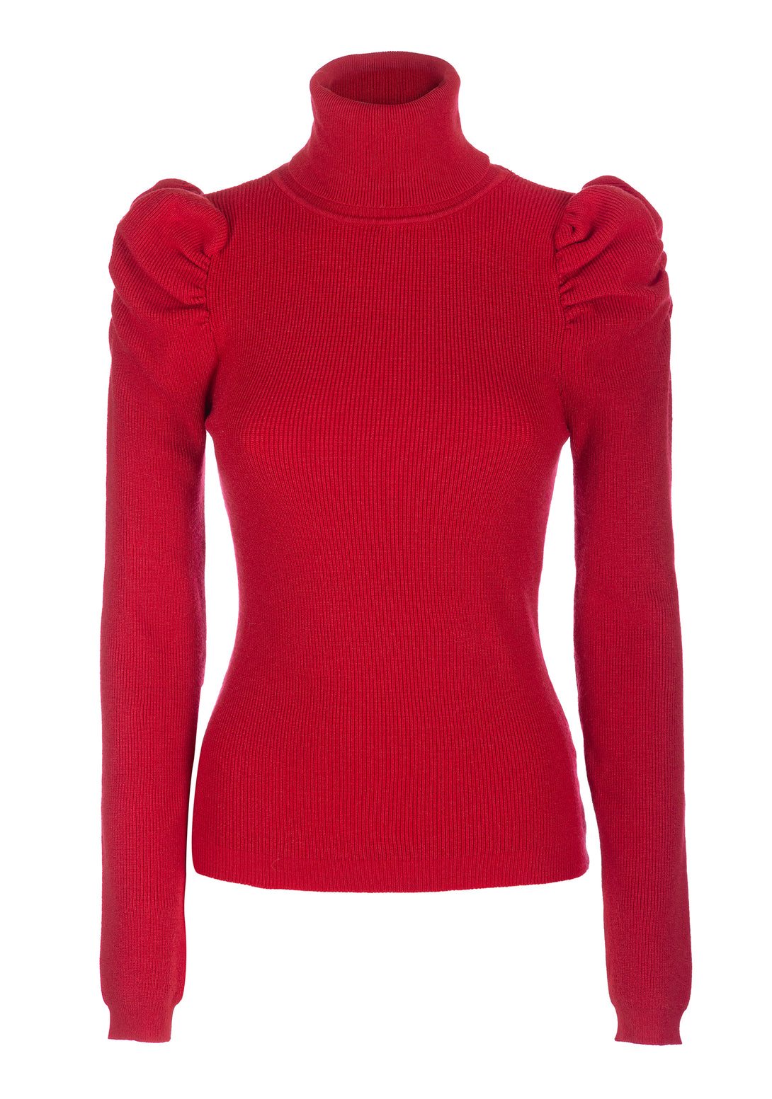 Knitwear slim fit with ribs and high neck Fracomina FI22WT7006K51301-377