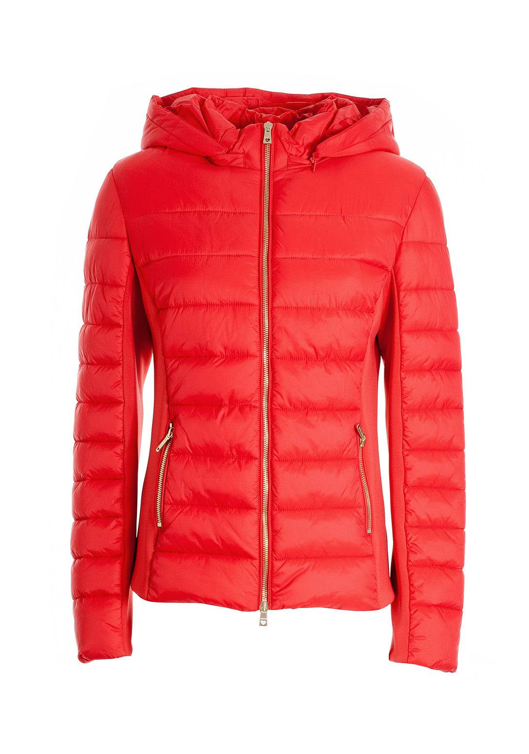 Padded jacket regular fit with hood