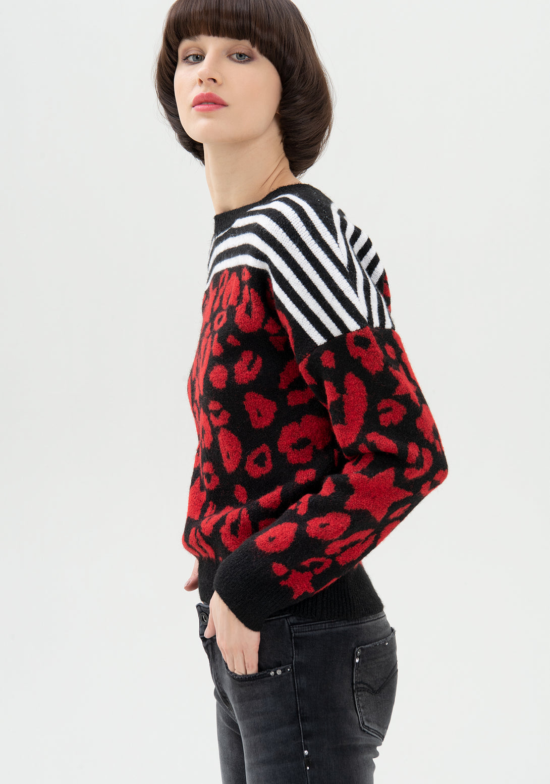 Knitwear regular fit with striped and animalier jacquard effect