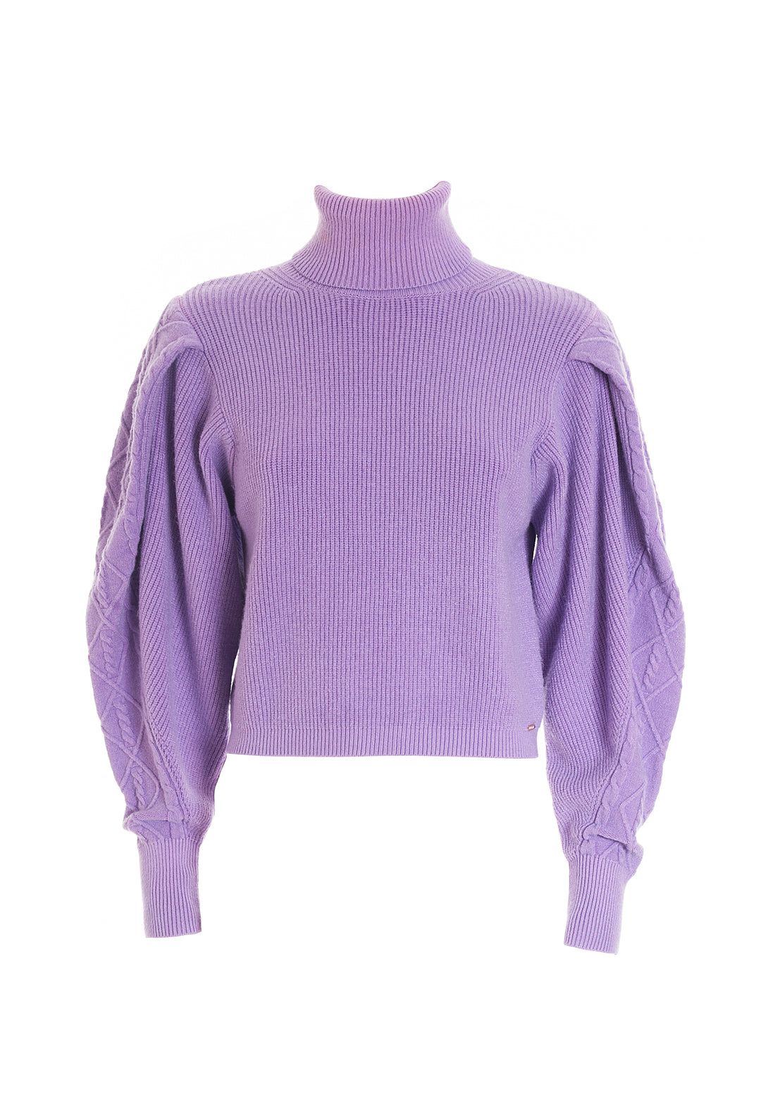 Knitwear slim fit with ribs and high neck